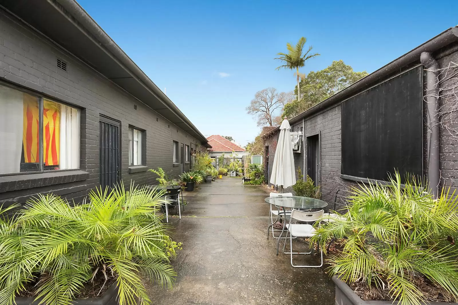 9 Adolphus Street, Balmain Sold by Coopers Agency - image 11