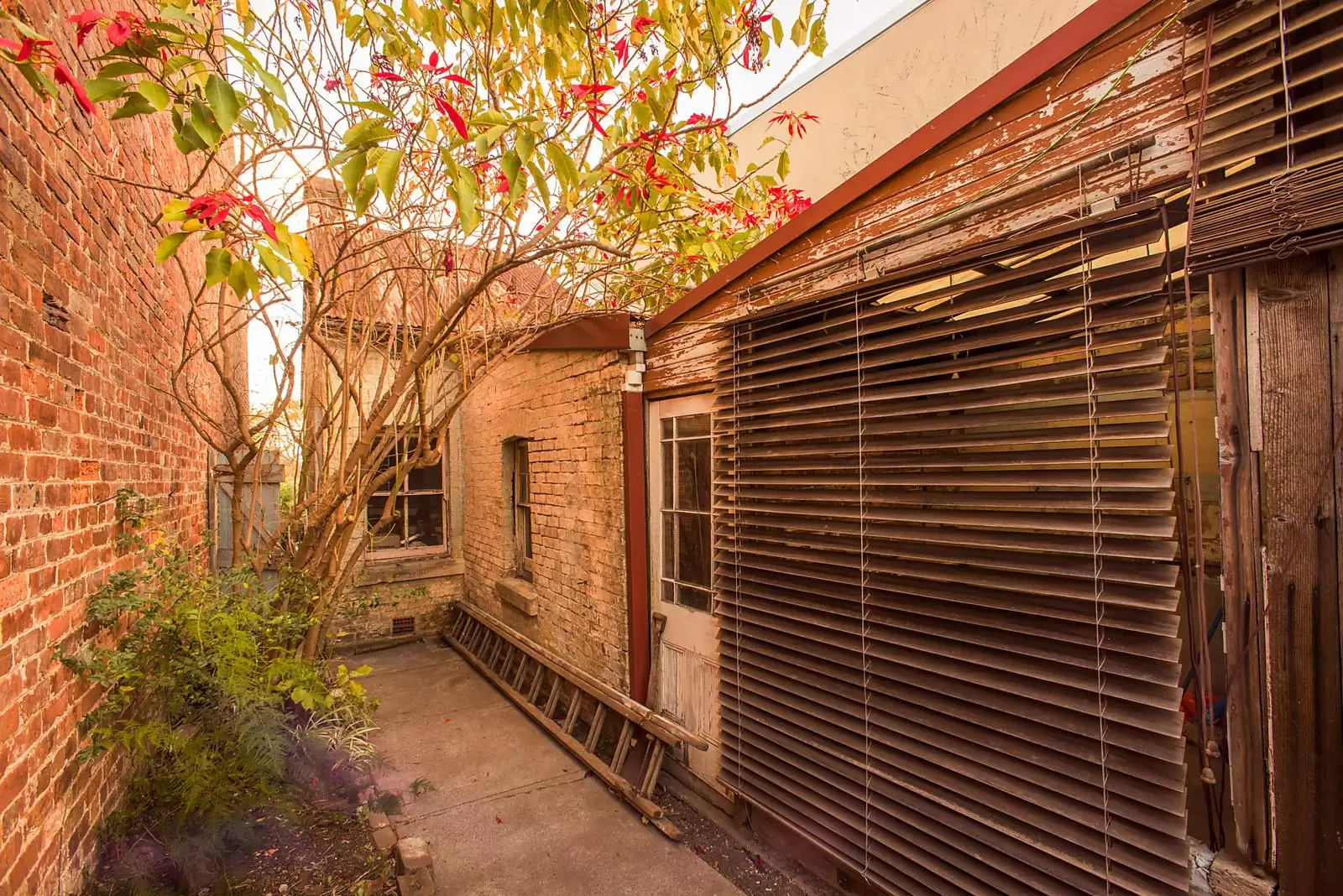 82 Rowntree Street, Balmain Sold by Coopers Agency - image 12