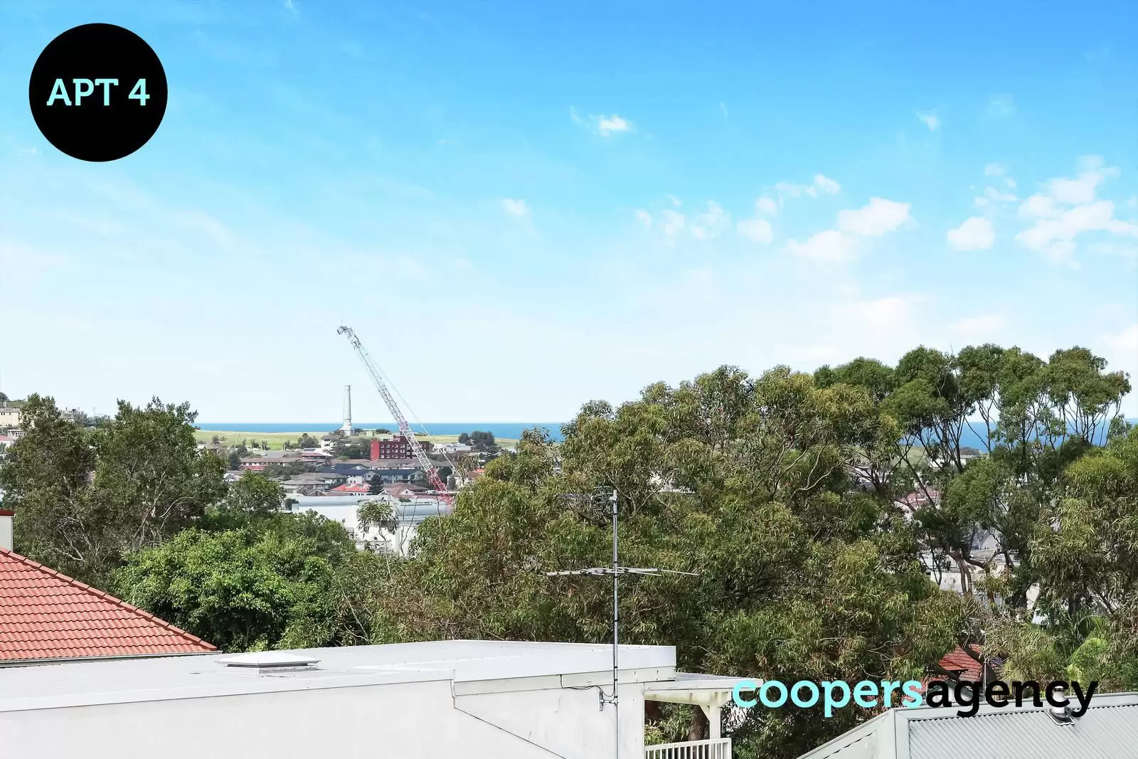 5 Imperial Avenue, Bondi Sold by Coopers Agency - image 3