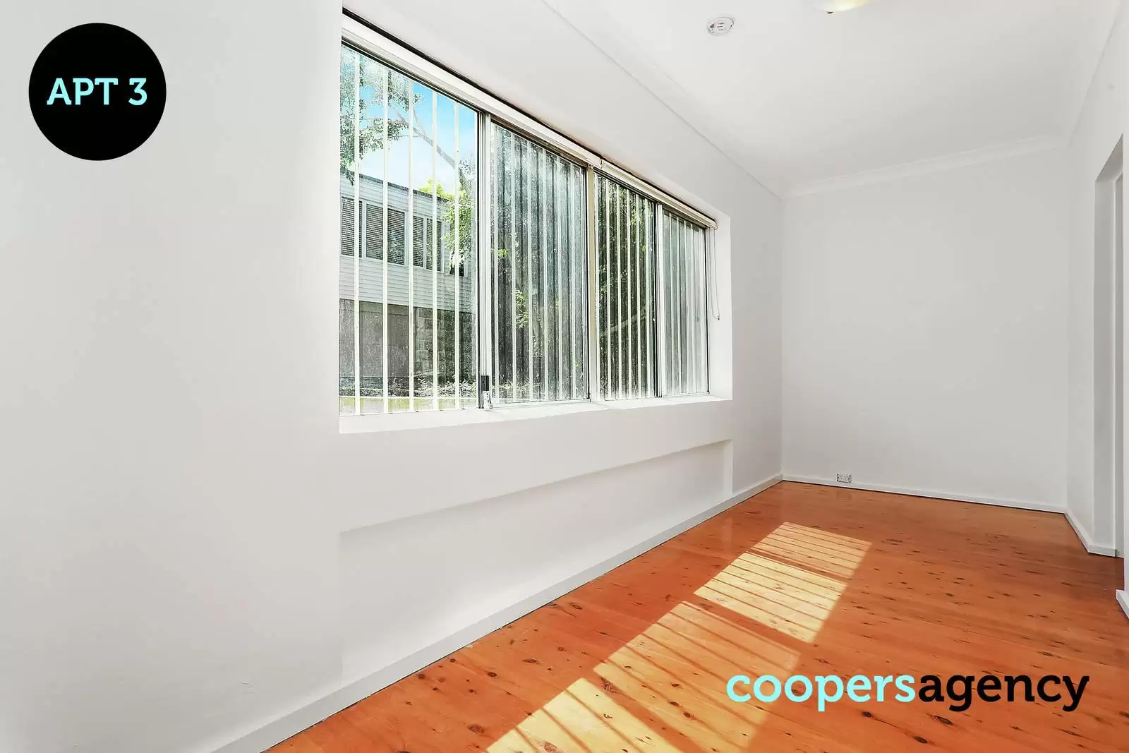 5 Imperial Avenue, Bondi Sold by Coopers Agency - image 21