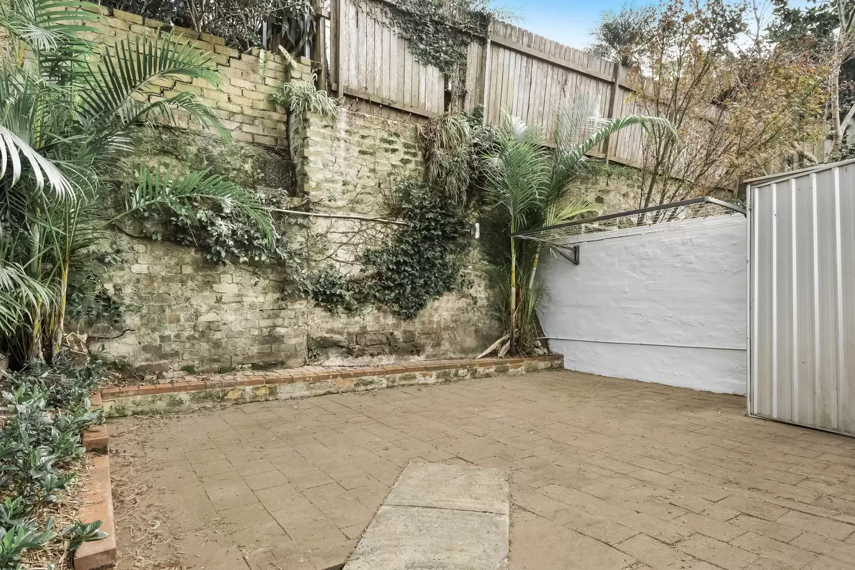 18 Pashley St, Balmain Leased by Coopers Agency - image 6
