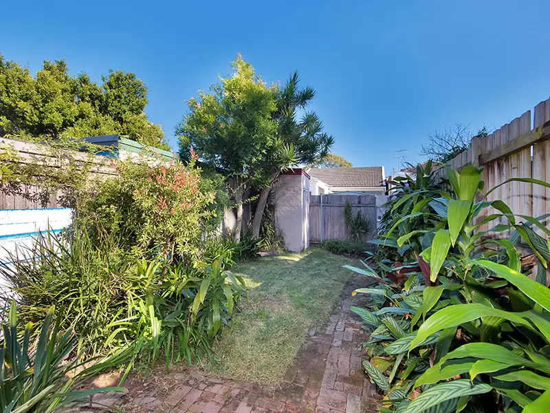51 The Boulevarde, Lilyfield For Lease by Coopers Agency - image 7