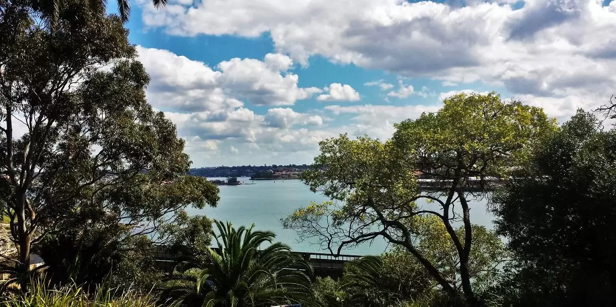 40 Fitzroy Avenue, Balmain Leased by Coopers Agency - image 1