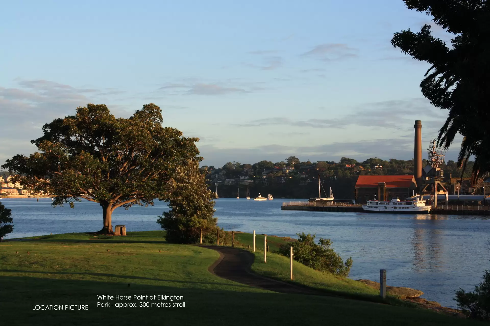 23 Gow Street, Balmain For Lease by Coopers Agency - image 1