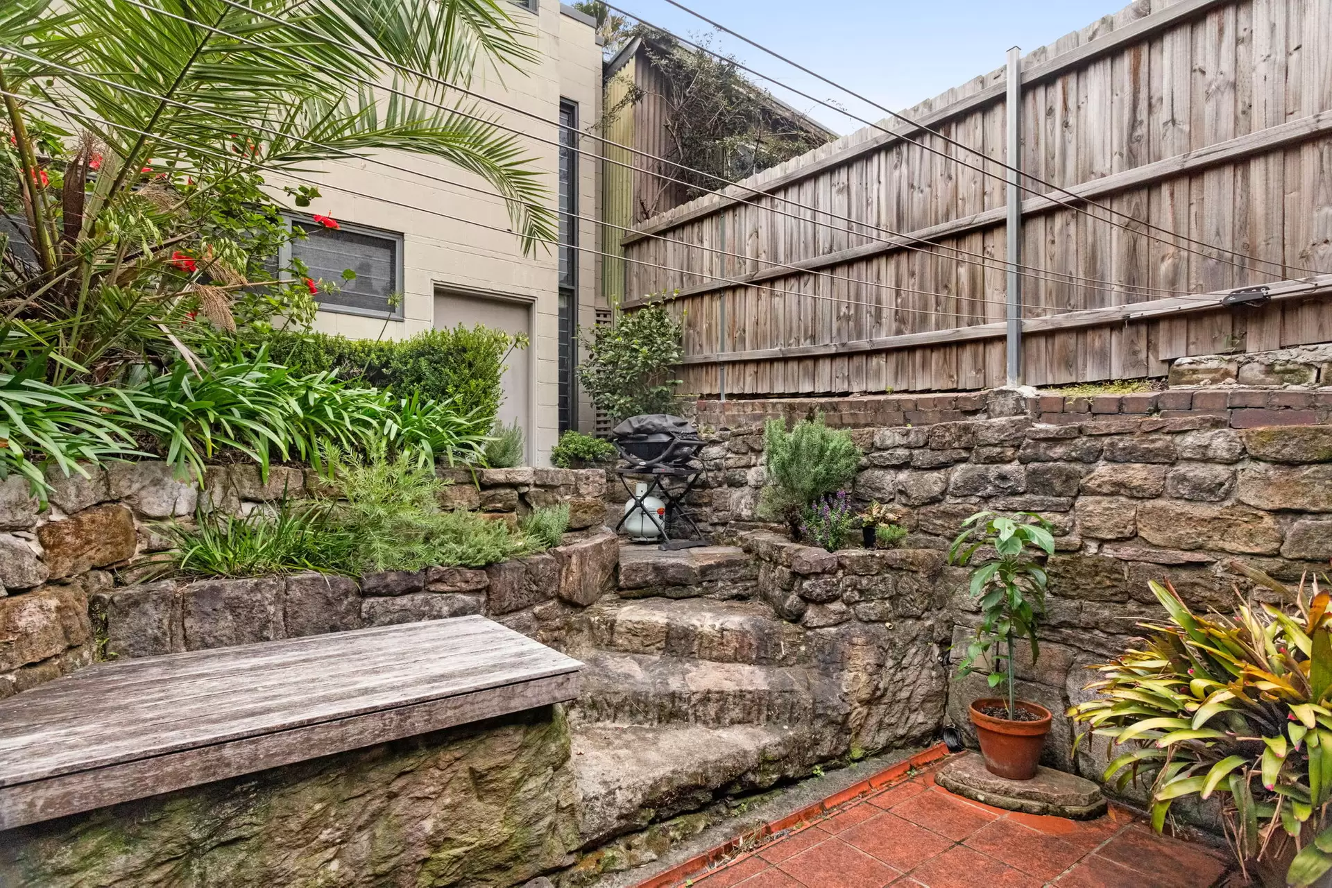 23 Gow Street, Balmain For Lease by Coopers Agency - image 1