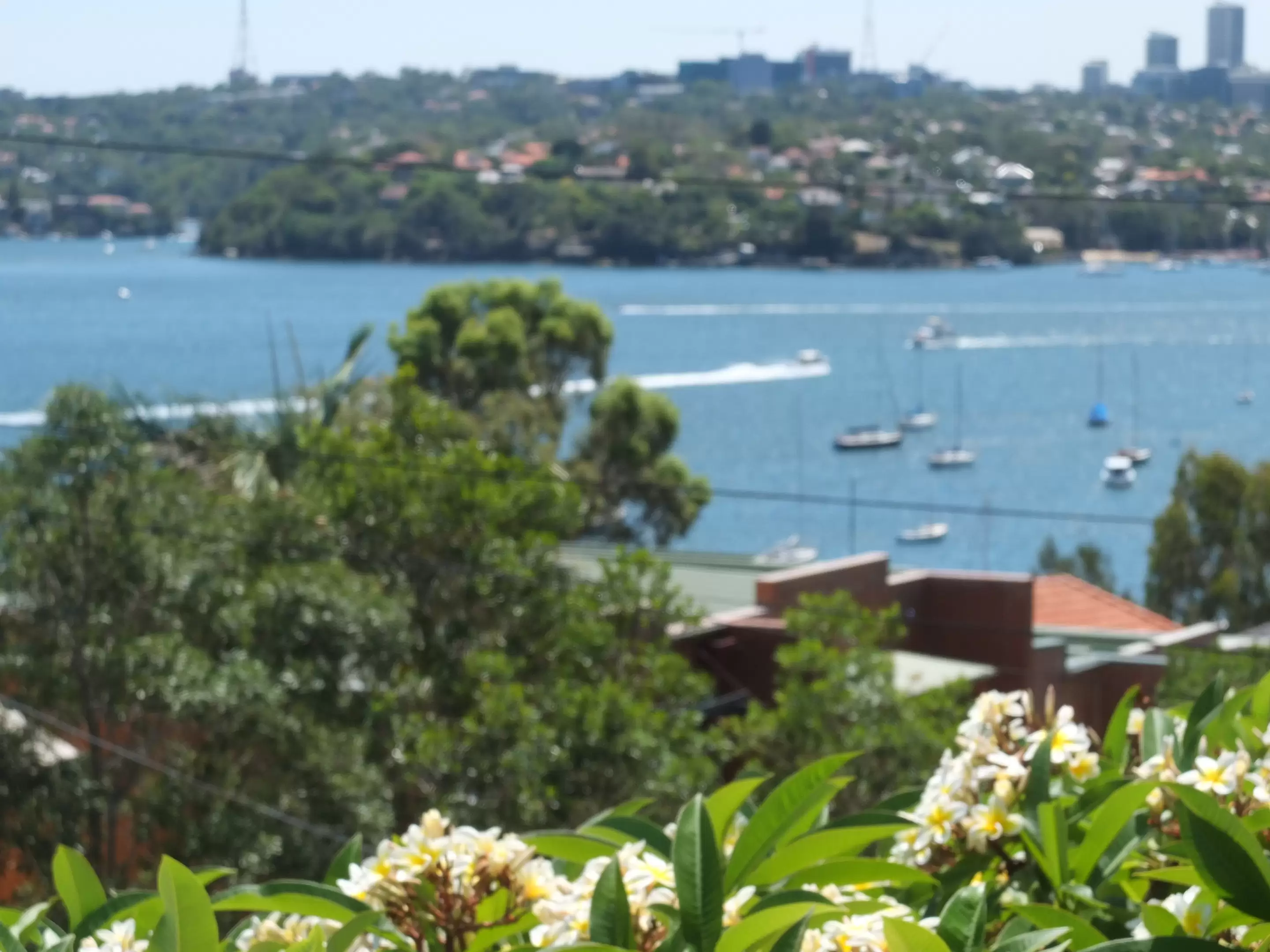 23 Gow Street, Balmain For Lease by Coopers Agency - image 10