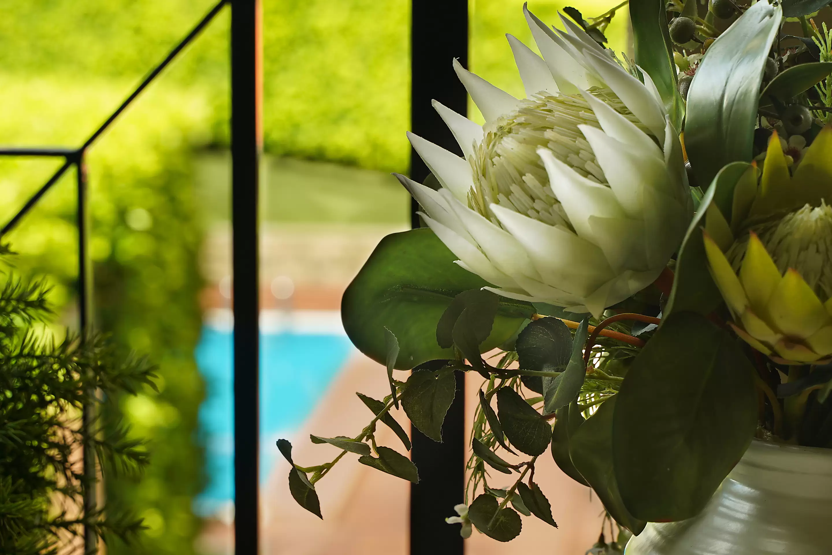 B7/1 Buchanan Street, Balmain Auction by Coopers Agency - image 3