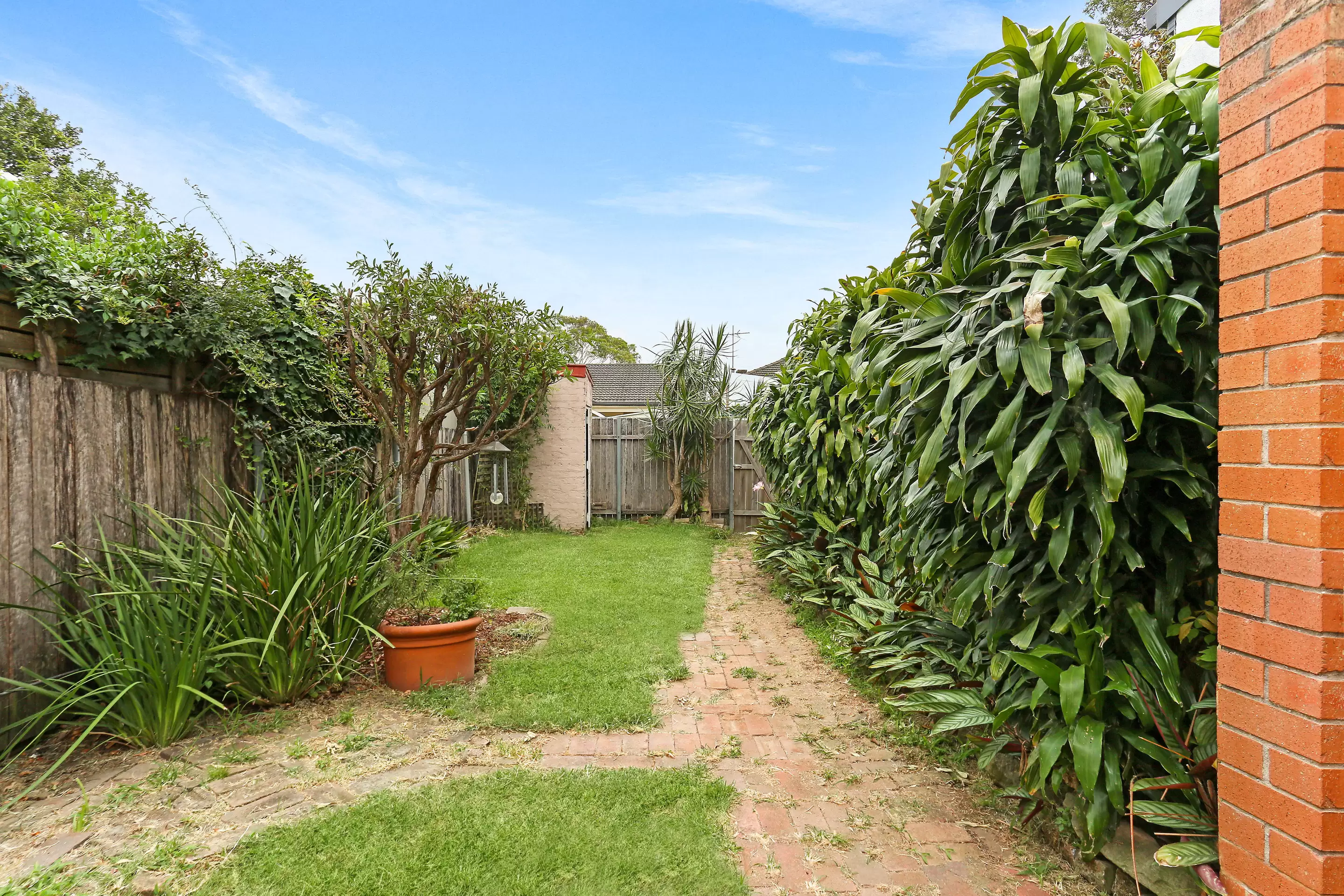 51 The Boulevarde, Lilyfield Sold by Coopers Agency - image 4