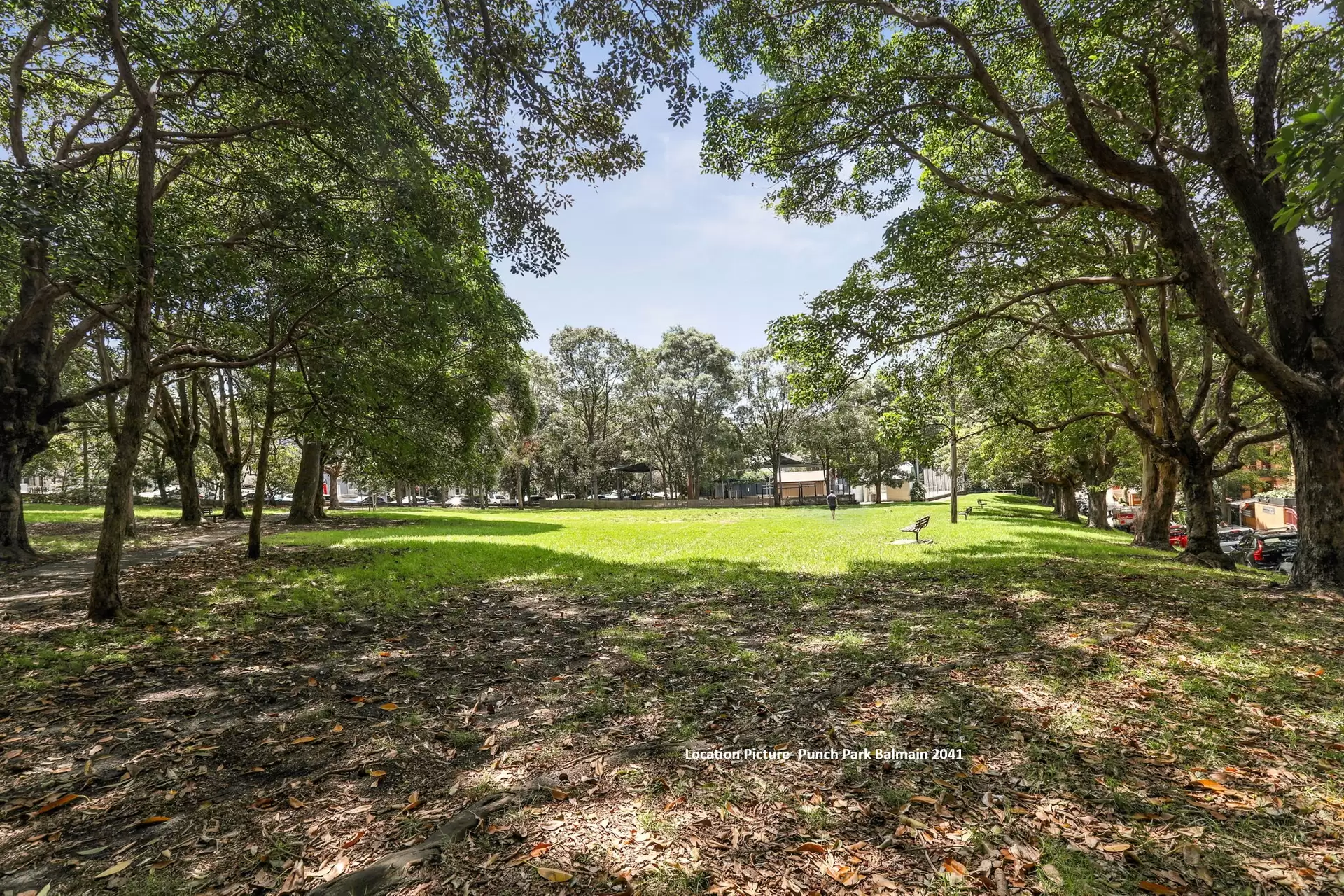 33B Rosser Street, Balmain Sold by Coopers Agency - image 1