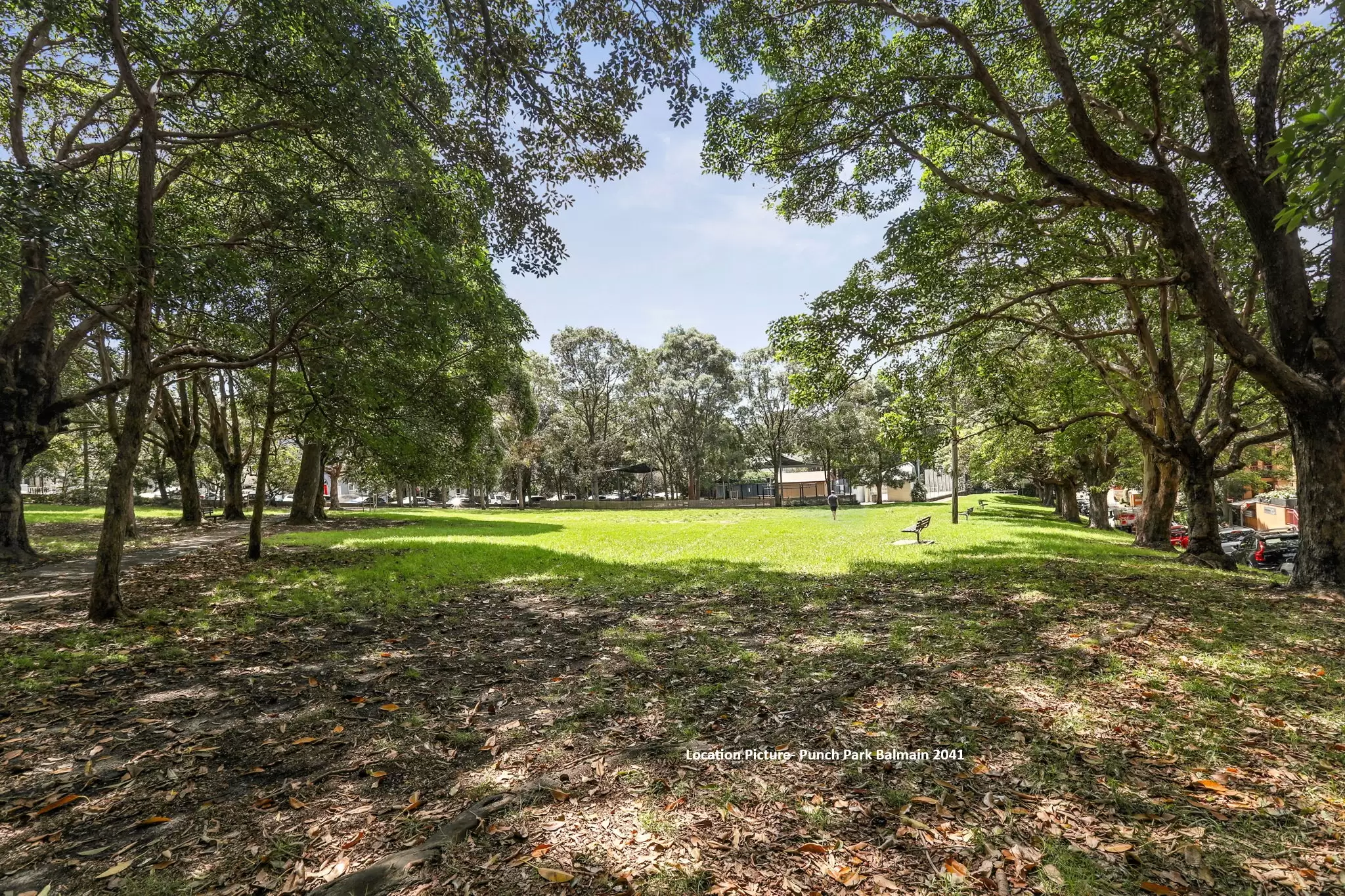 33B Rosser Street, Balmain Sold by Coopers Agency - image 16