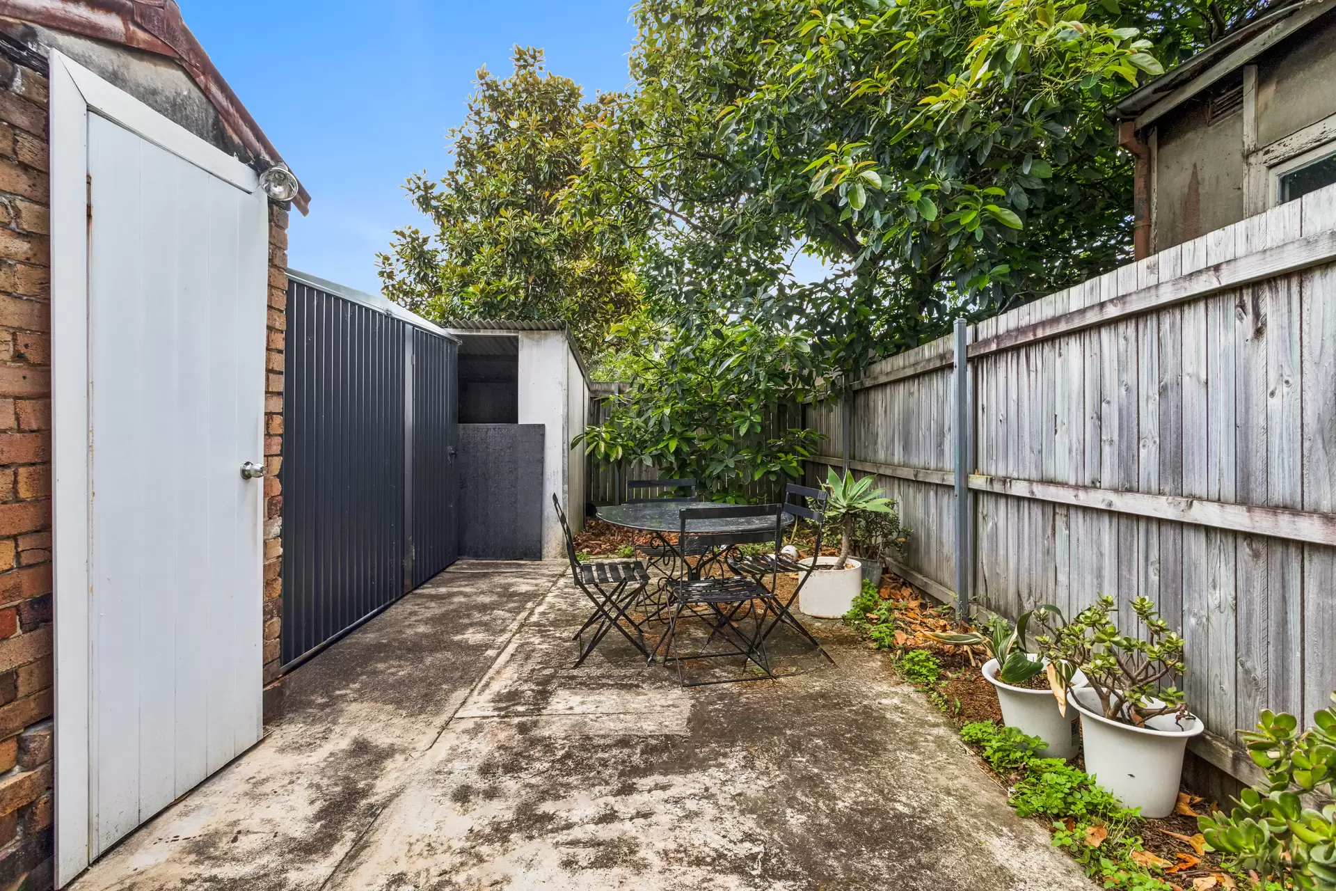 637 Darling Street, Rozelle For Lease by Coopers Agency - image 1