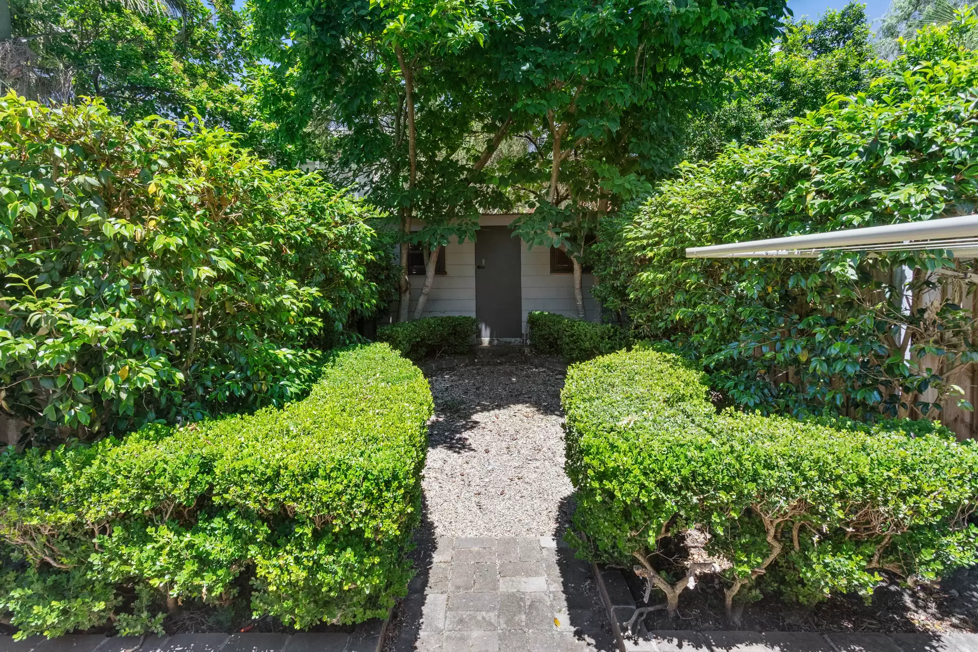 24 Nelson Street, Rozelle Leased by Coopers Agency - image 1