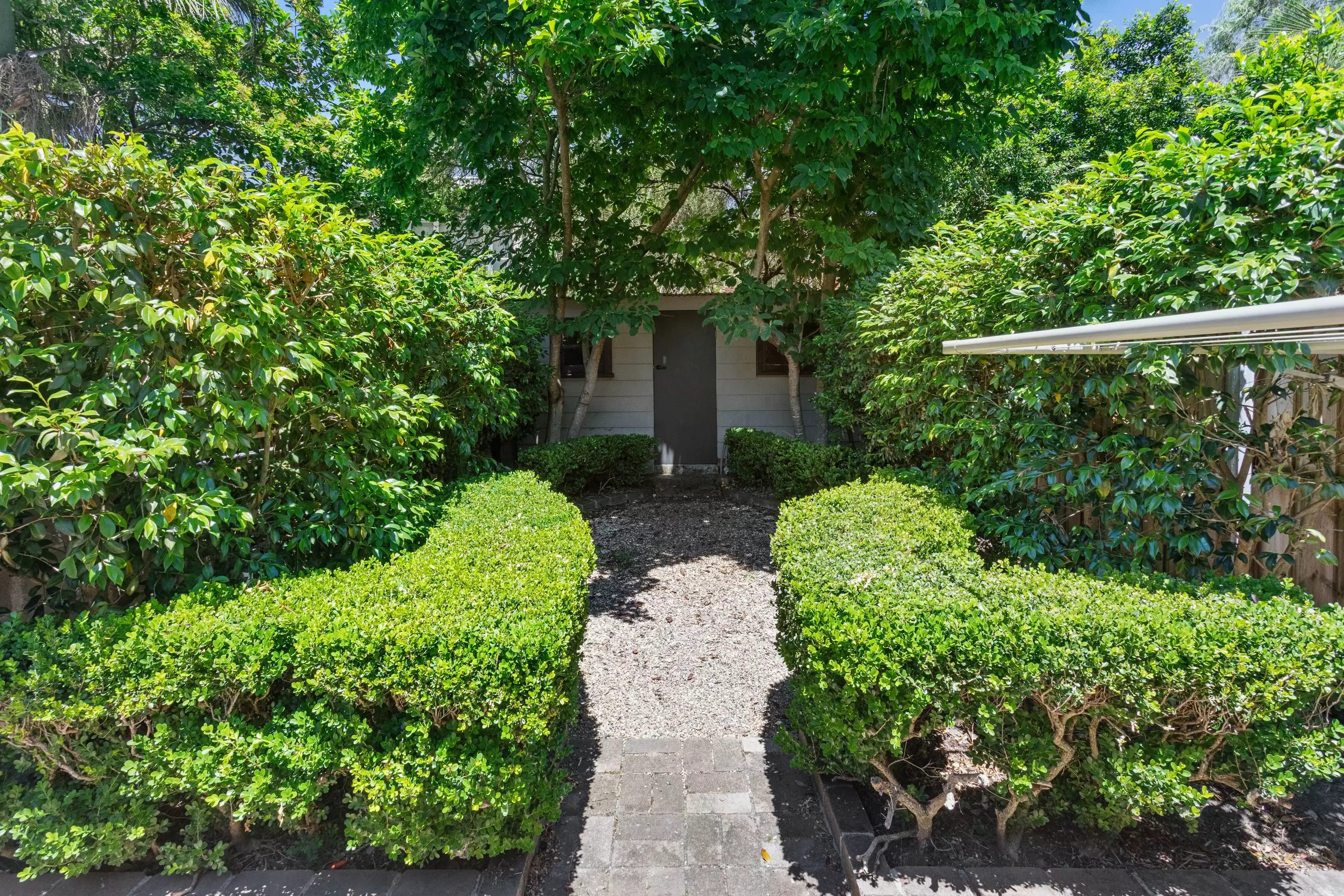 24 Nelson Street, Rozelle Leased by Coopers Agency - image 8