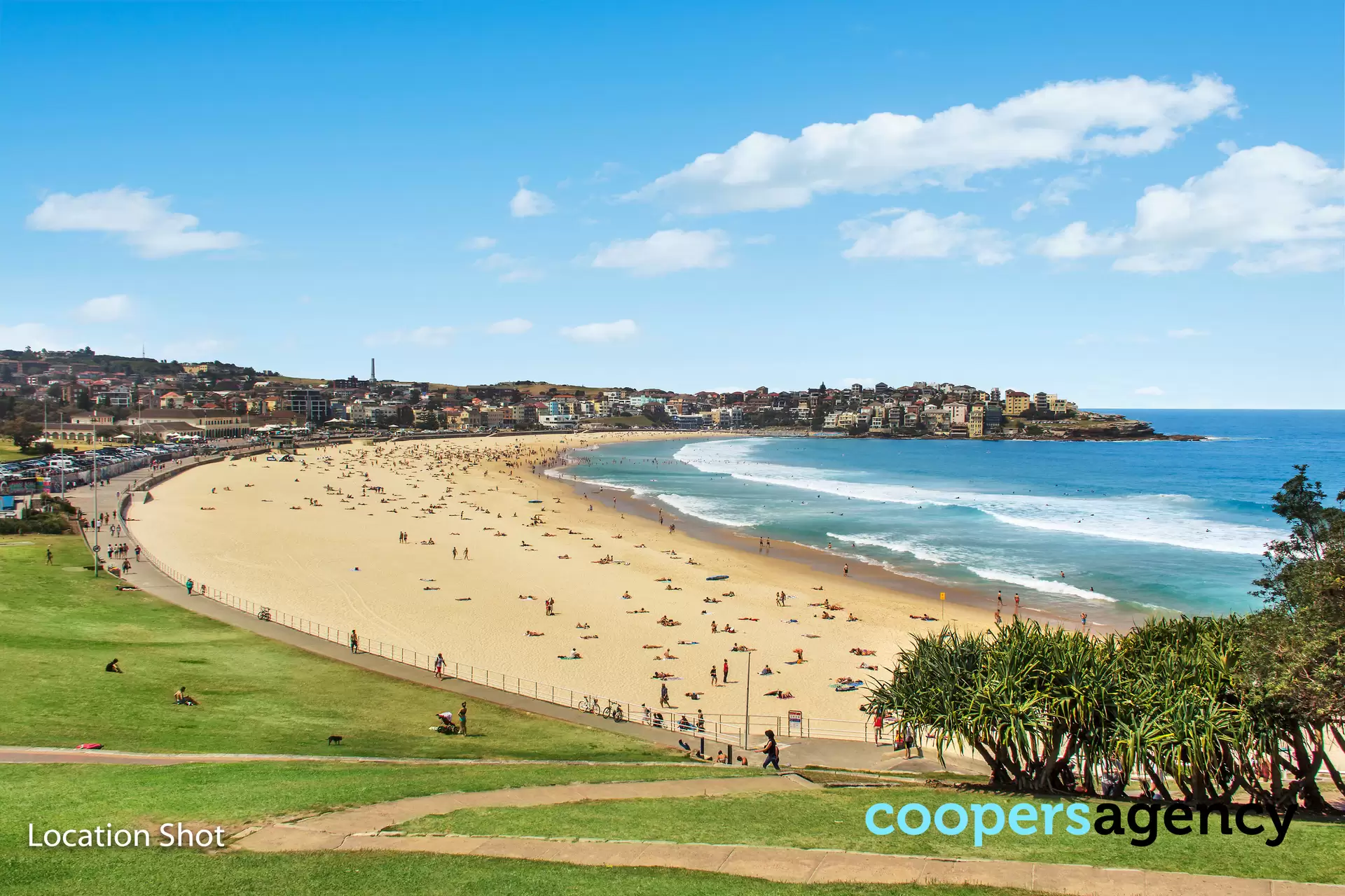 1/5 Imperial Avenue, Bondi Leased by Coopers Agency - image 1