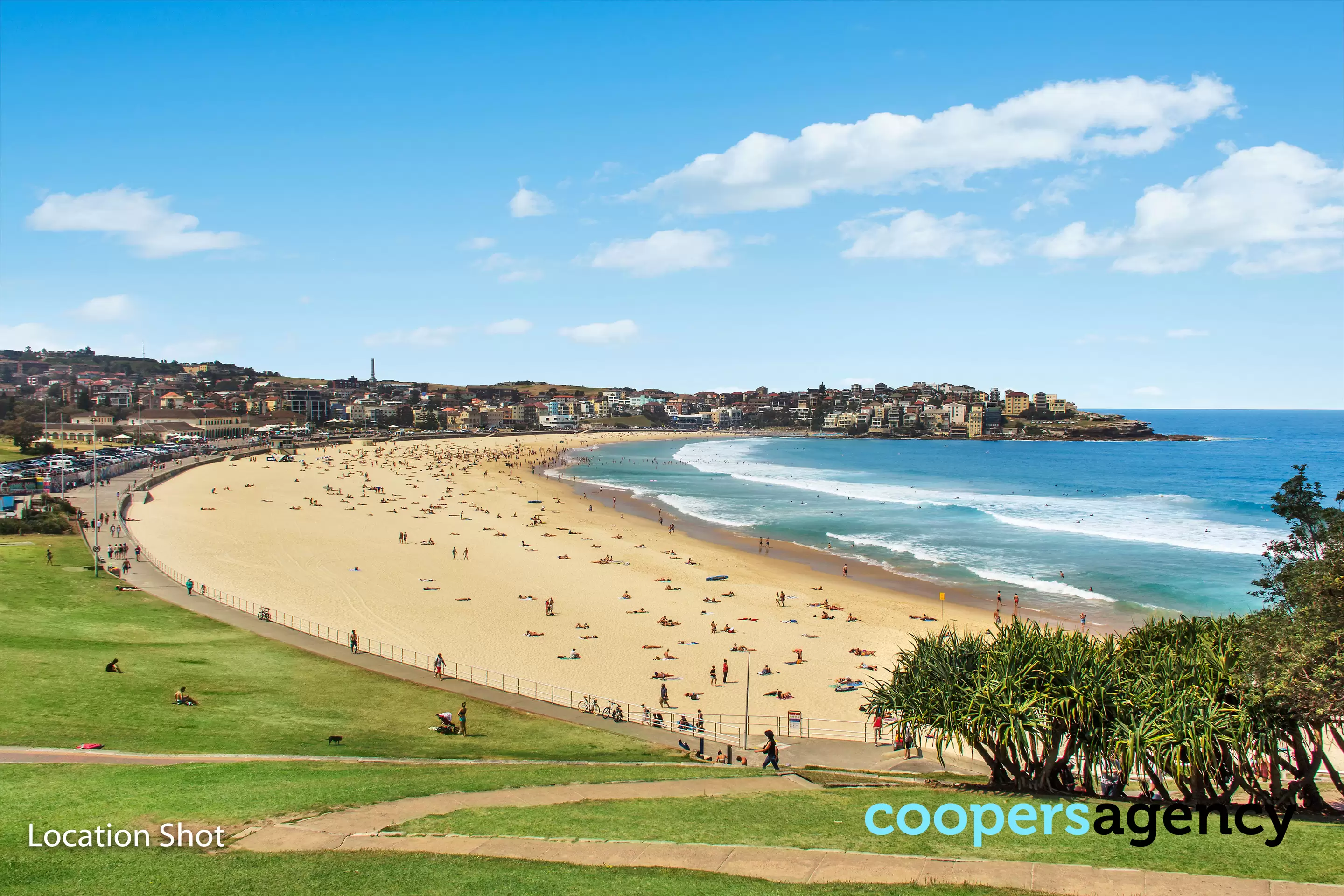 1/5 Imperial Avenue, Bondi Leased by Coopers Agency - image 13