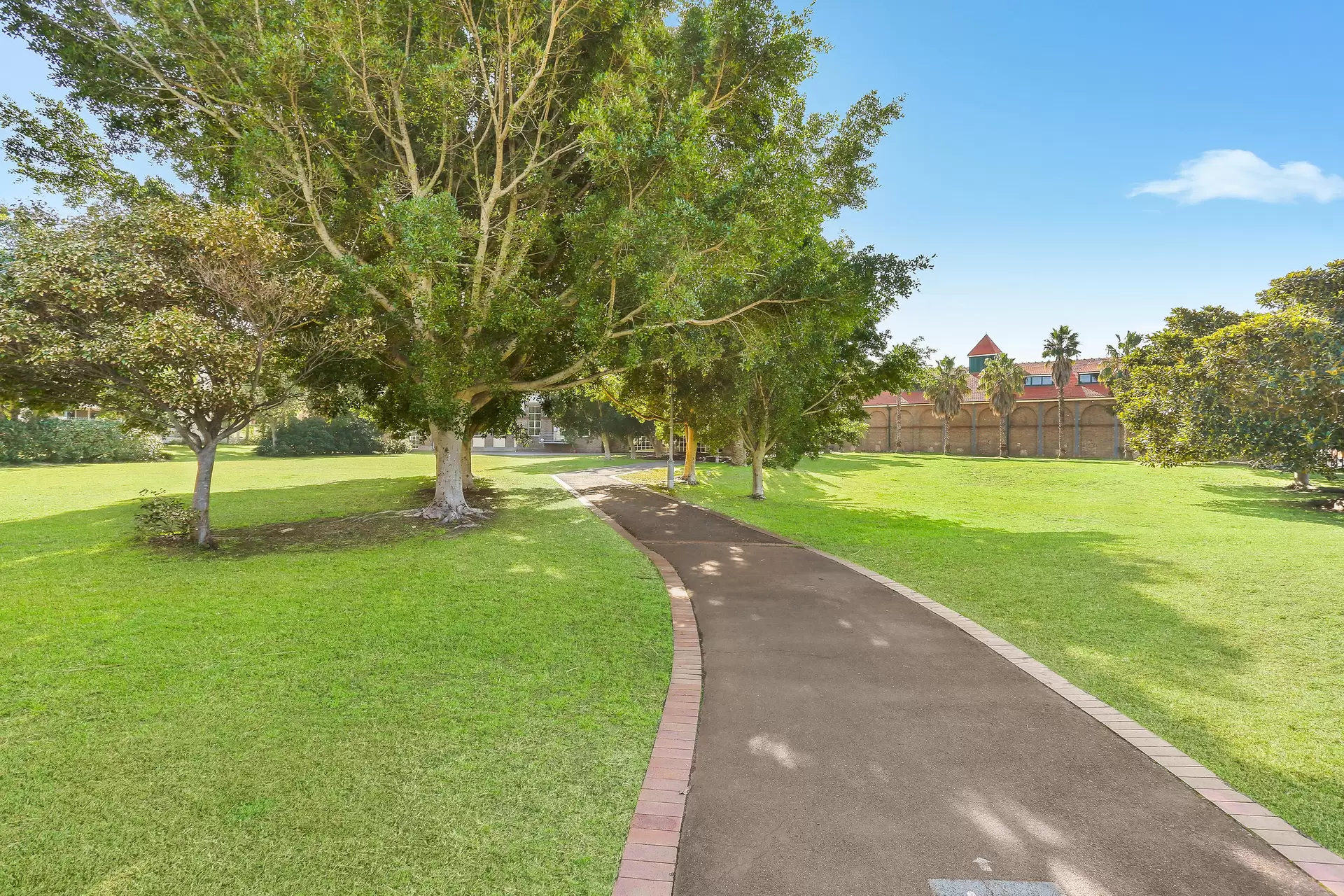 D14,1 Buchanan Street, Balmain Leased by Coopers Agency - image 1