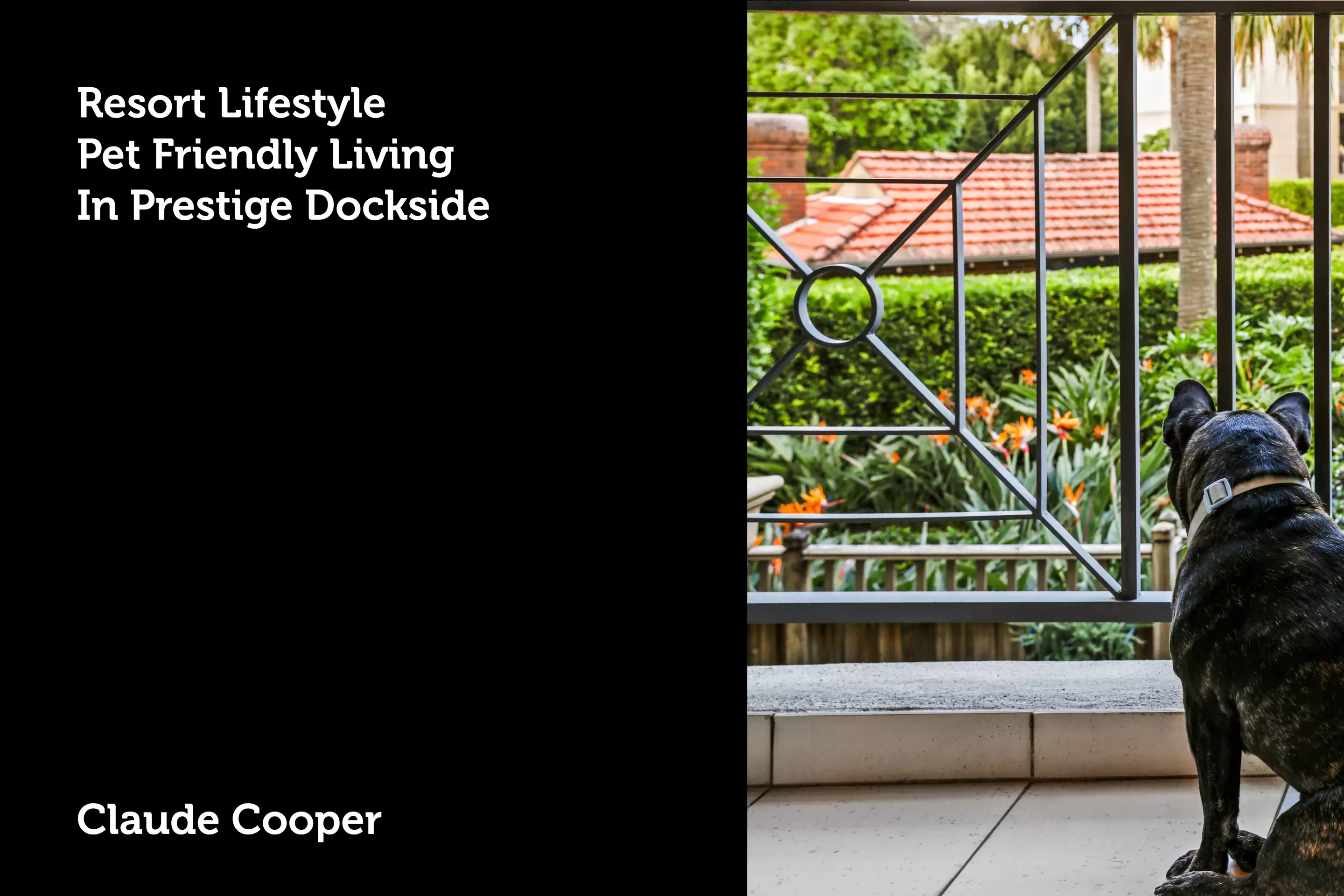 C15/1 Buchanan Street, Balmain For Sale by Coopers Agency - image 16