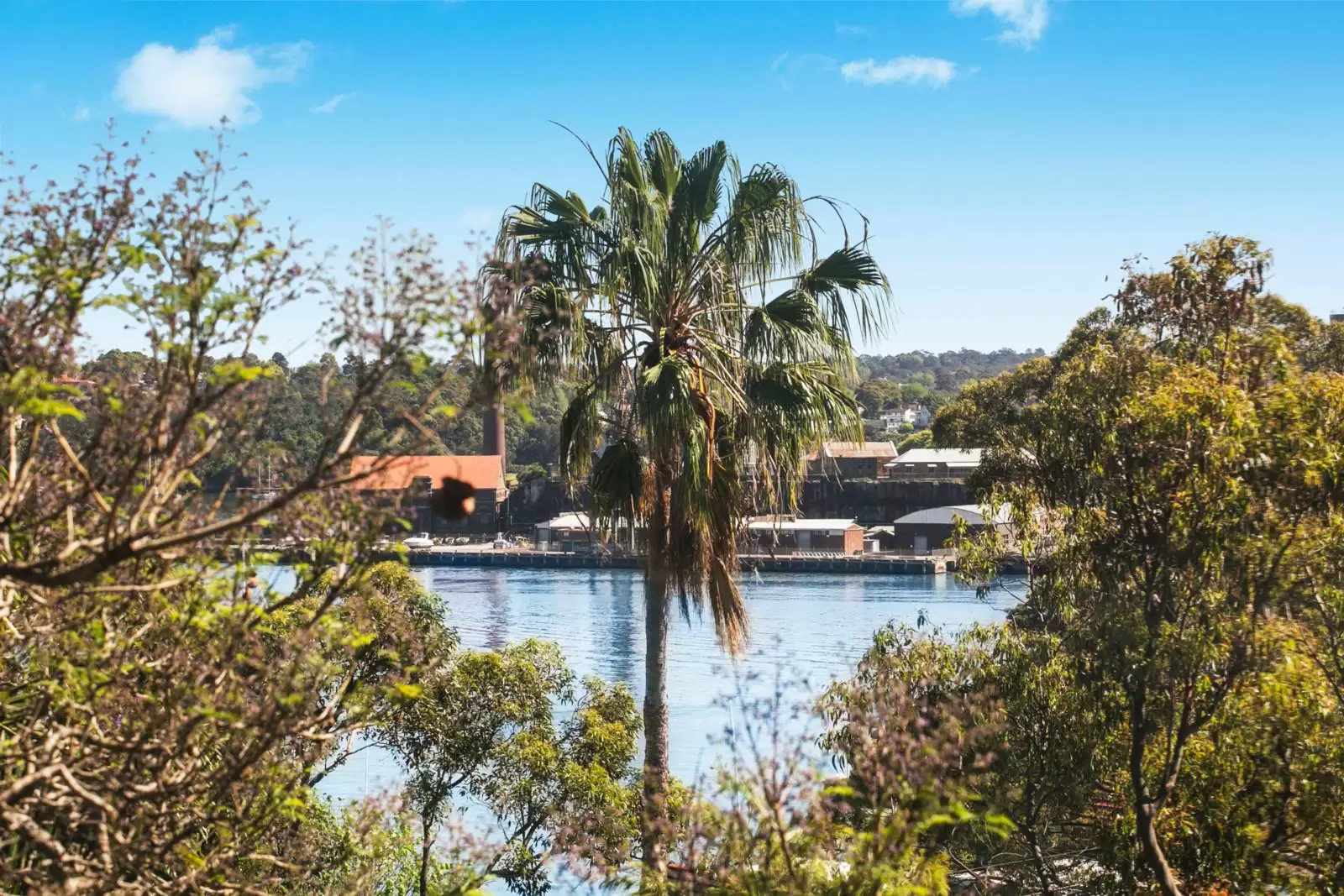 12/75 Glassop Street, Balmain Sold by Coopers Agency - image 3